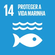The Light Rebar Company quer proteger a vida marinha e destacar-se no meio ambiental e sustentável