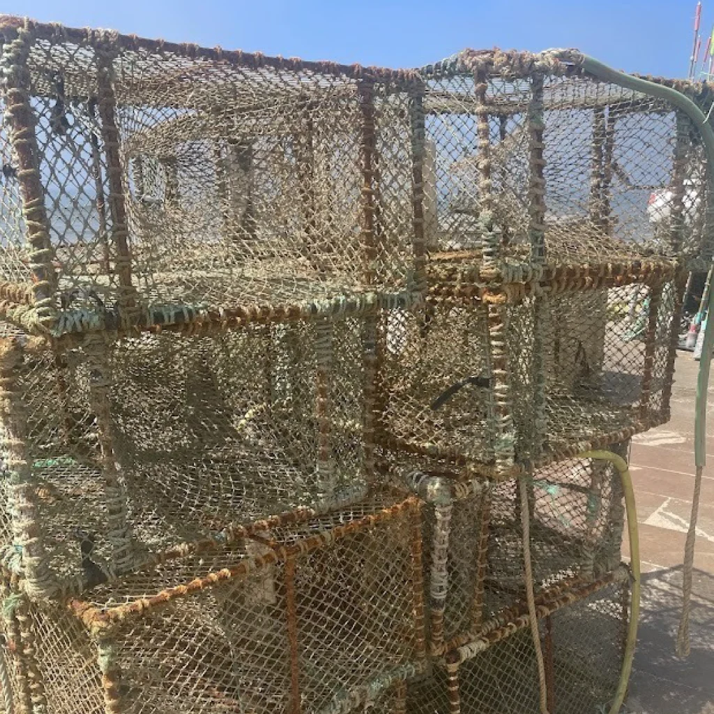 Projeto Ifishing & Varões Sensorizados, The Light Rebar Company